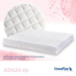azalea_zip_742696293