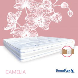 camelia_fiksna_1398088979