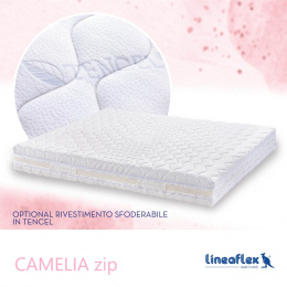 camelia_zip_916380247