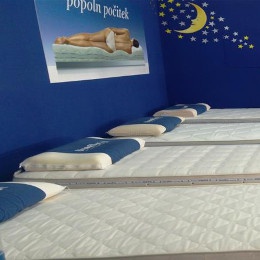 odprodaja-exp-cat