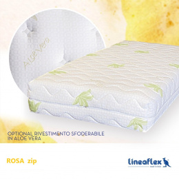 rosa_zip_aloe_1364964629