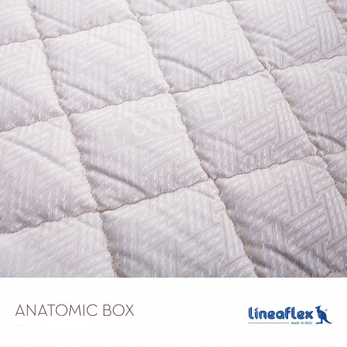 anatomic-blago_878496585