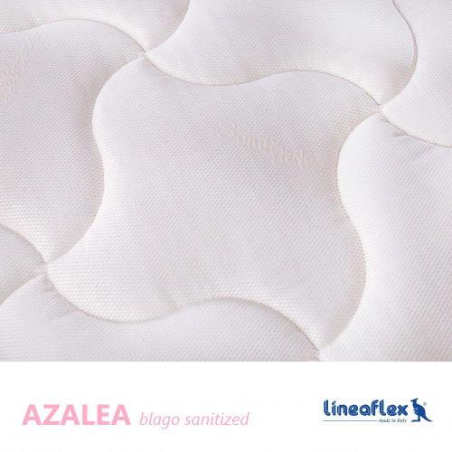 azalea_sanitized_1218331818