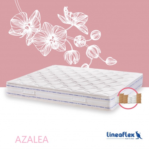 azaleaclas_2115205097