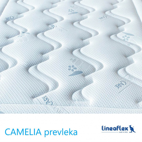 camelia_blago_392255103