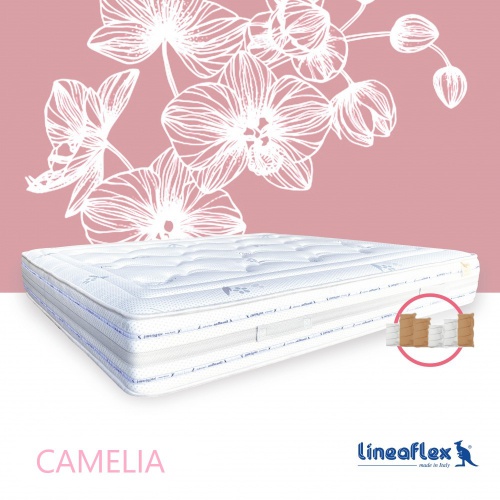 camelia_fiksna_1398088979