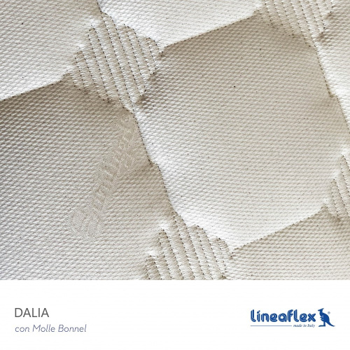 dalia_blago_816506623