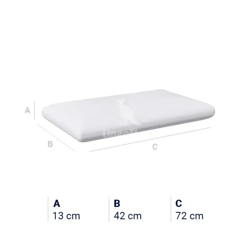dimensionibiomemorysaponetta-1_jpg