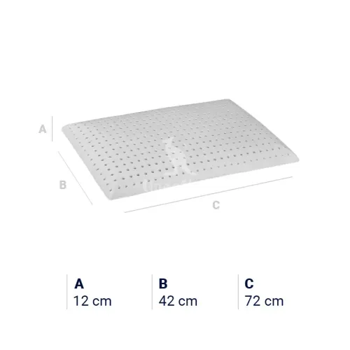 dimensionilatticesaponetta