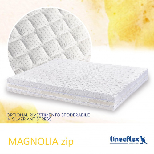 magnolia_zip_762899382