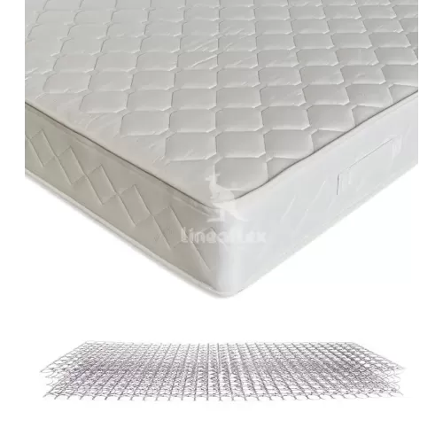 rosa-lineaflex_986698855