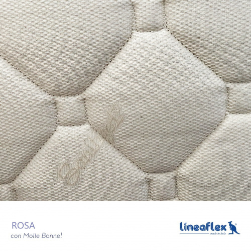 rosa_blago_1133815149