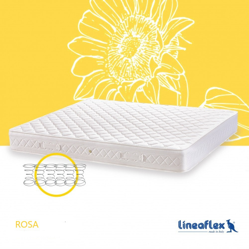 rosa_fiksna_877872662