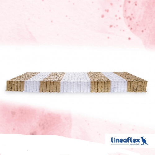 vitalis_jedro_459189890