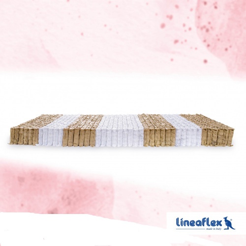 vitalis_jedro_915641379